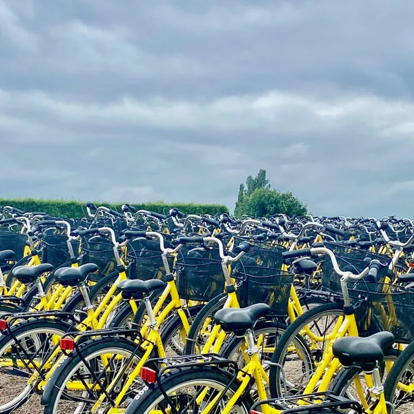 Landskrona - Insel VEN: Fahrrad Verleih Bild: Trips4kids.de