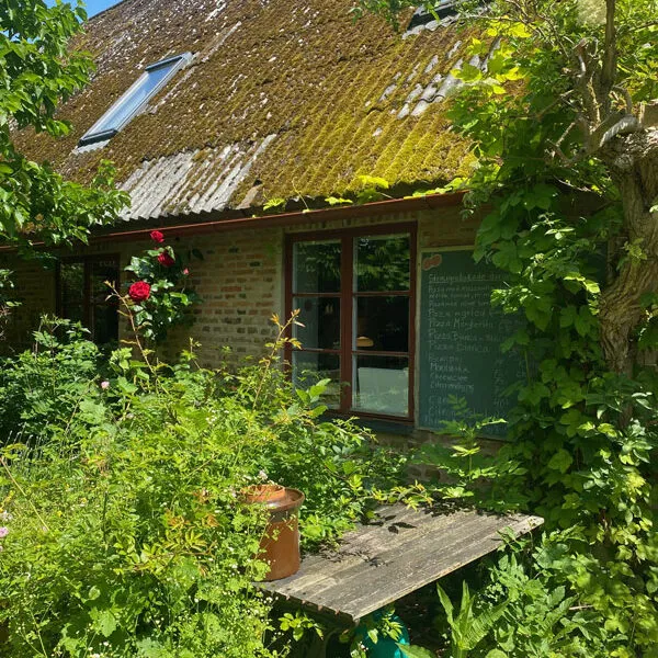 Landskrona - Insel VEN: Pumpans Cafe Garten Bild: Trips4kids.de