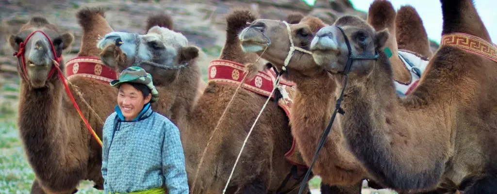 Julia Malchow, Gründerin von