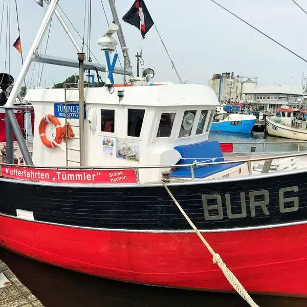 Fehmarn mit Kindern, Tipps, Kutterfahrt Tuemmler, Bild A. Fischer