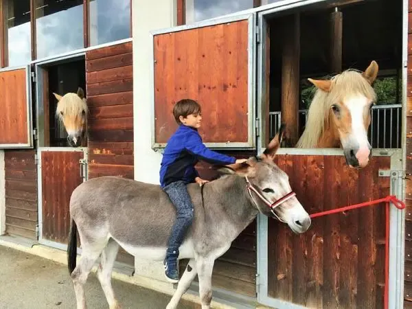 Moesslacherhof-Kind-Pferde- Kind beim Pferdestall- Moesslacherhof © Foto: Nussin Armbrust