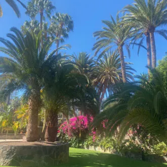 Seaside Palm Beach Hotel - Palmen im Garten Bild. Trips4kids.de