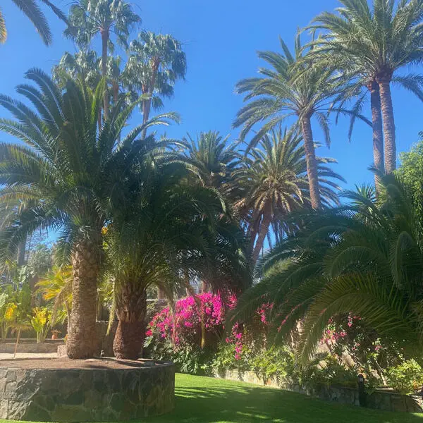 Seaside Palm Beach Hotel - Palmen im Garten Bild. Trips4kids.de