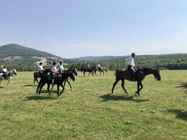Reiten_Rumaenien-Ausritt3.Bild.A.Friedlaender.5 Reiten in Rumaenien - Ausritt mit der Gruppe