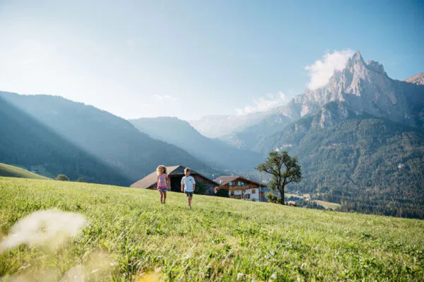 Roter Hahn Bauernhöfe - Südtirol Foto: Benjamin Pfitscher