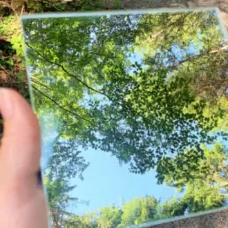 Wald im Spiegel- Waldbaden © Foto : Andrea Fischer