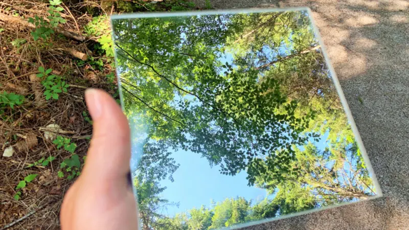 Wald im Spiegel- Waldbaden Wald im Spiegel- Waldbaden © Foto : Andrea Fischer
