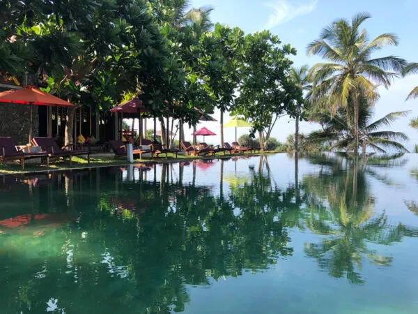 Underneath-The-Mango-Tree-Hollmann-UTMT_0