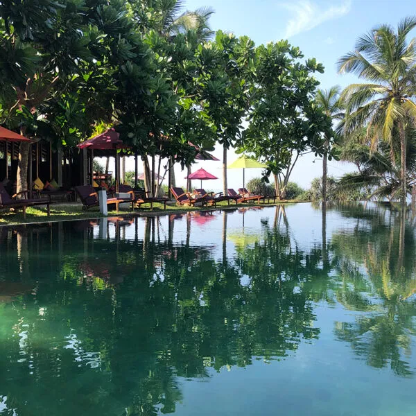 Underneath-The-Mango-Tree-Hollmann-UTMT_0