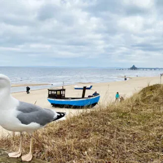 Usedom-Moewe-Schiff-Seebruecke Usedom-Moewe-Schiff-Seebruecke Foto: © Andrea Fischer, Trips4Kids.de /Trips4me.de