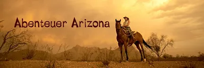 White Stallion Ranch Arizona