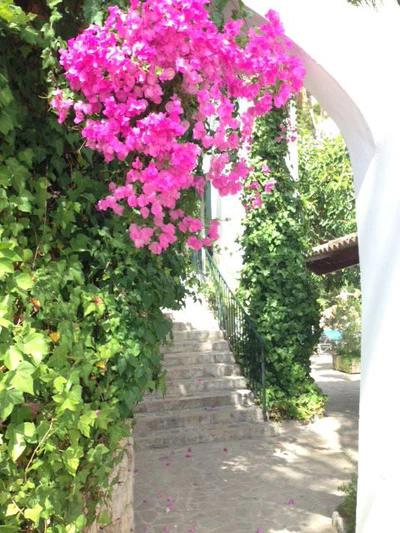 Hotel Bon Sol Bougainvilla