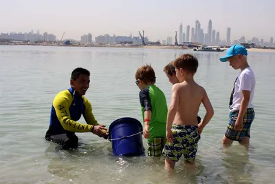 Ein Märchenschloss für Familien mit Kids auf Dubais Palmeninsel! Wir tauchen ein in die bunten Atlantis-Wasserwelten: Der Mega-Wasserpark „Aquaventure“ und das „Lost Chambers Aquarium“ sind einfach gigantisch und für Hotelgäste for free …