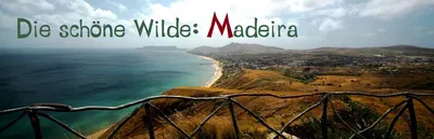 Lava-Strände, hohe Gipfel, Höhlen, Delfin-Watching und üppige Vegetation – Madeira hat auf kleinem Raum sehr viel zu bieten. Und ist auch für Familien eine Reise wert und dass zu jeder Jahreszeit, denn das Klima ist immer angenehm mild.