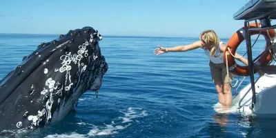 Activities--whale-watch