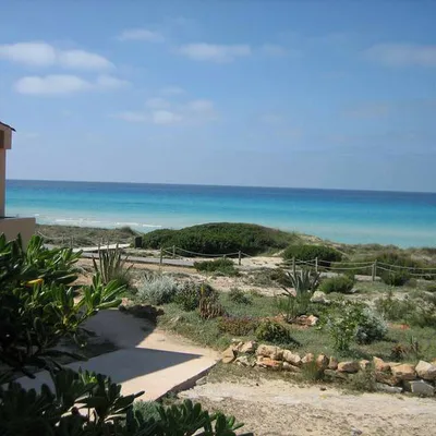 csm_Arenas_del_Mar_Ausblick.Bild@ArenasdelMar.1 Bungalow Arenas del Mar Formentera Ausblick
