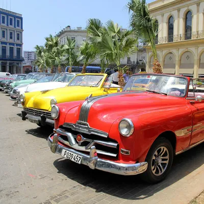 Autos auf Kuba - Djoser