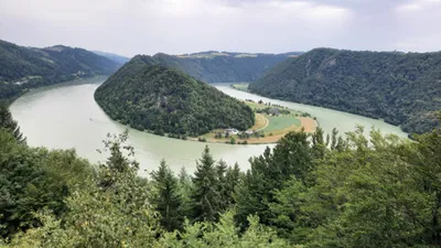 Donauschlinge Foto: © Nadine Sorgenfrei Trips4Kids.de