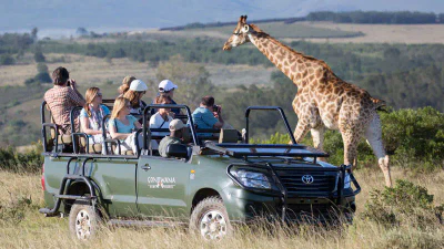 Gondwana Game Drive