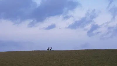 Insel-Pellworm-Landschaft- Bank auf Deich @ Foto: Nadine Sorgenfrei