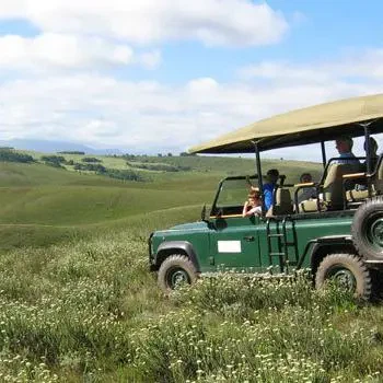 Gondwana Landrover-Fynbos-game-drive