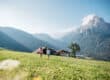 Roter Hahn Bauernhöfe - Südtirol Foto: Benjamin Pfitscher