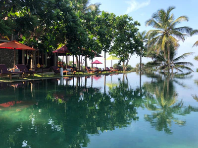 Underneath-The-Mango-Tree-Hollmann-UTMT_0