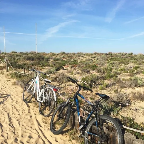 Ria_Park_Radtour.Bild@SMH_Trips4kids.de.jpg