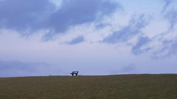 Insel-Pellworm-Landschaft- Bank auf Deich @ Foto: Nadine Sorgenfrei