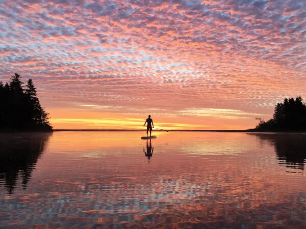 kouchibouguac Paddleboard