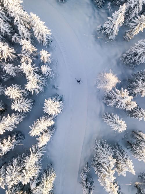 Langlauf Vogelperspektive Hochrindl Bild: Michael-Stabentheiner/Österreich Werbung